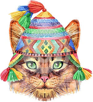 Encantador detallado retrato gato en peruano un sombrero. pintado a mano Agua color la pintura en blanco 