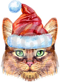 Lovely closeup portrait of Somali cat in Santa hat. Hand drawn water colour painting on white background