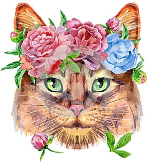 Lovely closeup portrait of Somali cat in a wreath of flowers. Hand drawn water colour painting on white background