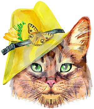 Lovely closeup portrait of Somali cat in yellow hat with flowers and butterfly. Hand drawn water colour painting on white