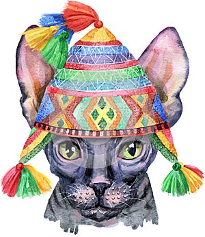 Encantador detallado retrato gato en peruano un sombrero. pintado a mano Agua color la pintura en blanco 