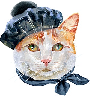 Lovely closeup portrait of turkish van cat in a black beret with a pompom and a scarf. Hand drawn water colour painting