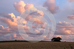 Lovely color contrast