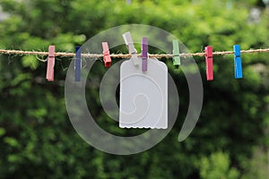 The lovely colorful cloths pins and a white tag label hanging on the brown string with green leaves background