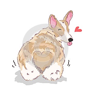 Lovely Corgi dog, cute animal smile with lovely face. Vector illustration