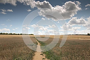 Lovely countryside of Oxfordshire