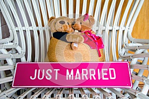 Lovely Couple Bears and JUST MARRIED Sign