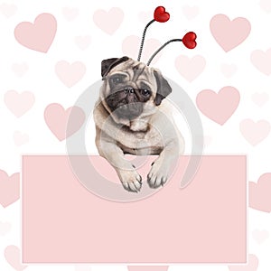 Lovely cute pug puppy dog with hearts diadem, hanging on blank pale pink promotional sign