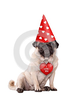 Lovely cute Valentine`s day puppy pug dog sitting down with red I love you heart and party hat with hearts