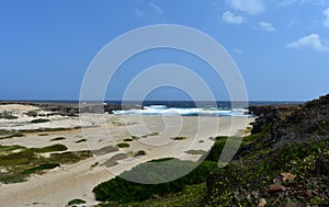 Lovely Daimari Beach on The Coast of Aruba photo
