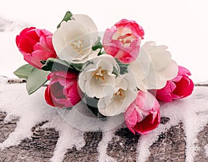 Lovely delicate bouquet of tulips