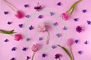 A lovely elegant spring or summer floral wallpaper or pattern made of pink tulips and violet hyacinth flowers on pink background.