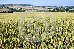 Panorama of East Sussex, England. View towards Firle Beacon.