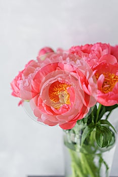 Lovely flowers in glass vase. Beautiful bouquet of peonies sort of coral charm. Floral composition, scene, daylight. Wallpaper