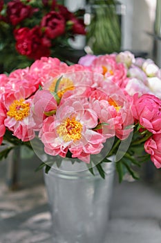 Lovely flowers in glass vase. Beautiful bouquet of peonies sort of coral charm. Floral composition, scene, daylight. Wallpaper
