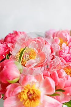 Lovely flowers in glass vase. Beautiful bouquet of peonies sort of coral charm. Floral composition, scene, daylight. Wallpaper. Ve