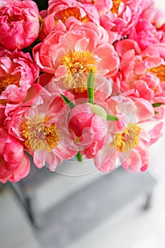 Lovely flowers in glass vase. Beautiful bouquet of peonies sort of coral charm. Floral composition, scene, daylight. Wallpaper. Ve