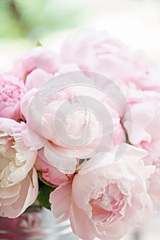 Lovely flowers in glass vase. Beautiful bouquet of pink peonies . Floral composition, scene, daylight. Wallpaper