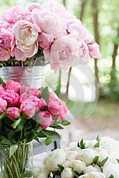 Lovely flowers in glass vase. Beautiful bouquet of pink peonies . Floral composition, scene, daylight. Wallpaper