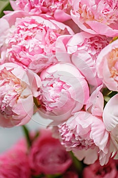 Lovely flowers in glass vase. Beautiful bouquet of pink peonies . Floral composition, scene, daylight. Wallpaper