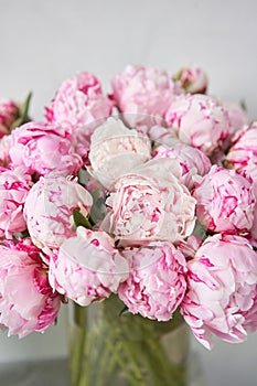 Lovely flowers in glass vase. Beautiful bouquet of pink peonies . Floral composition, scene, daylight. Wallpaper