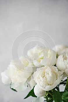 Lovely flowers in glass vase. Beautiful bouquet of white peonies . Floral composition, scene, daylight. Wallpaper