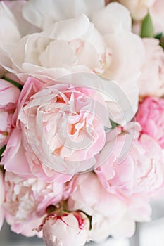 Lovely flowers in glass vase. Beautiful bouquet of white and pink peonies . Floral composition, daylight. Summer