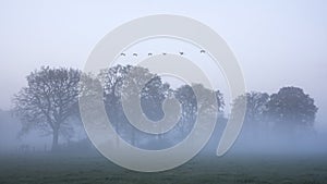 Lovely foggy sunrise in English countryside with soft pastel sky and calm feeling