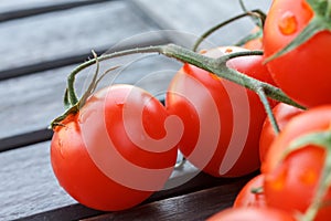 Lovely fresh small red tomatoes on the vine