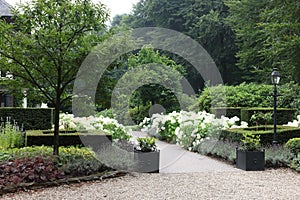 Lovely garden with blooming plants and paved pathway. Landscape design