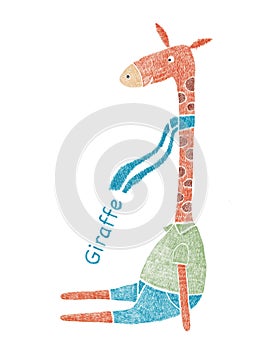 Lovely giraffe wearing a scarf, dressing up.