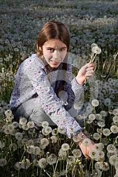 Lovely Girl Making Bunch of Dandelion Flowers on Beautiful Dandelion Field