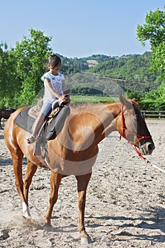 Affascinante è un sul cavallo un cavallo 