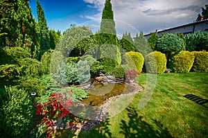 Lovely green garden photo