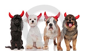 Lovely group of four cute dogs dressed as devils