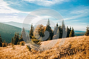 Lovely horizontal shot of the rising sun and high mountains