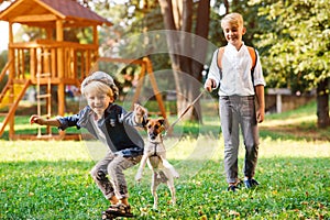 Lovely kids playing with their dog in the park. Little puppy jack russel terrier and kids outdoors