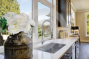 Lovely kitchen with elegant gooseneck faucet photo