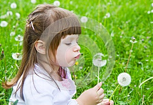 Lovely little blond little girl blowing a dandelion