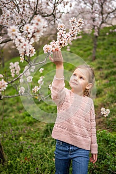 Lovely little girl in a blooming pink and white garden Petrin in Prague, spring time in Europe