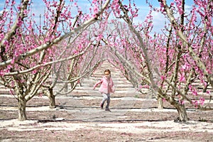 Lovely little girl in a grove of fruit trees. Spain