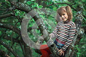 An lovely little girl sitting on a tree in the green garden.