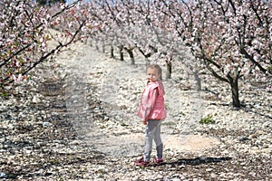 Lovely little girl standing in a grove of fruit trees. Spain