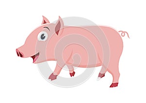 Lovely Little Pig illustration