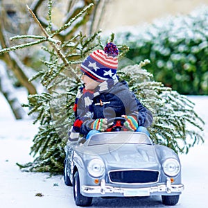 Lovely little smiling kid boy driving toy car with Christmas tree. Happy child in winter fashion clothes bringing hewed