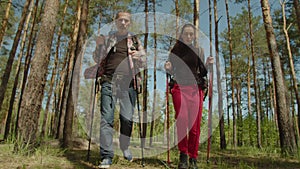 Lovely middle aged hiker couple enjoying nordic walking in forest