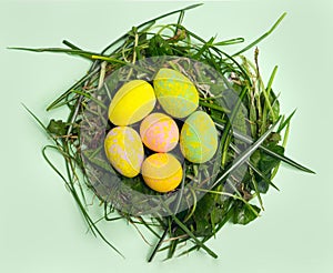 Lovely minimal Easter concept. Flat lay arrangement of five colorful painted eggs in fresh grass made nest. Pastel green