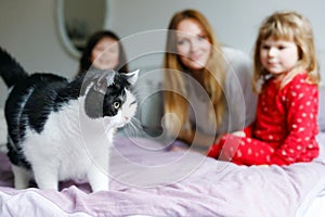 Lovely mother and two little girls daughters cuddling together with cat in bed in morning. Happy family of young single