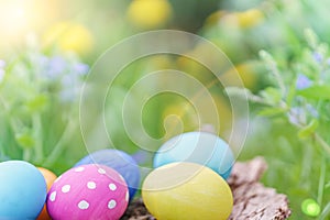 Lovely multicolored Easter eggs in sunlight over spring grass