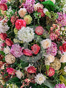 Lovely multifloral background